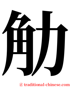 觔 serif font