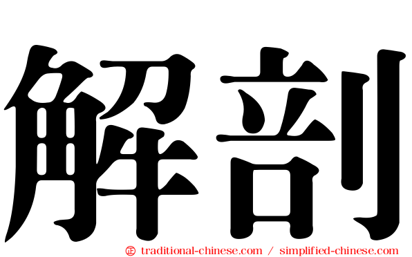 解剖
