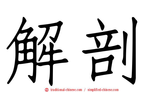 解剖