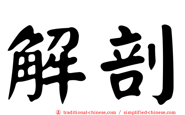 解剖