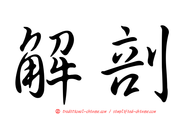 解剖