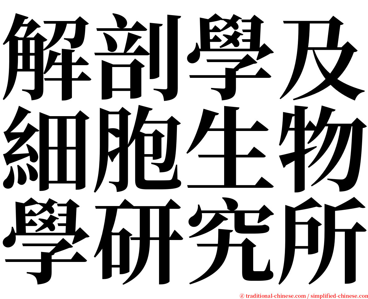 解剖學及細胞生物學研究所 serif font