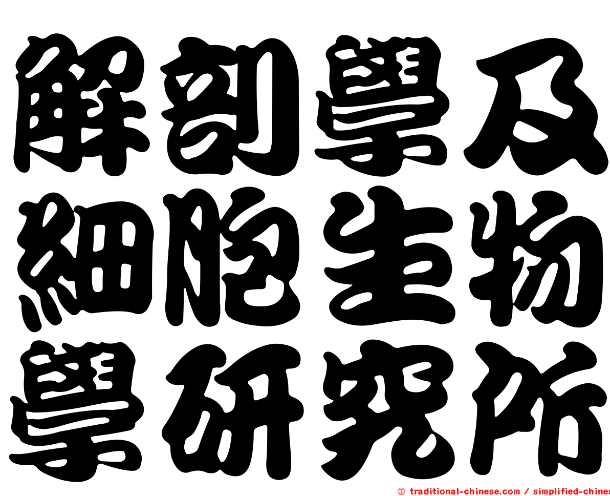 解剖學及細胞生物學研究所