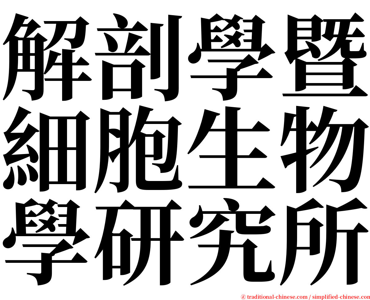 解剖學暨細胞生物學研究所 serif font