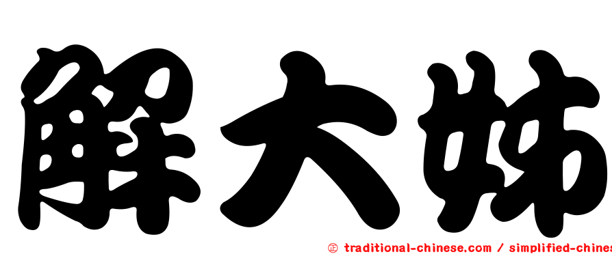 解大姊