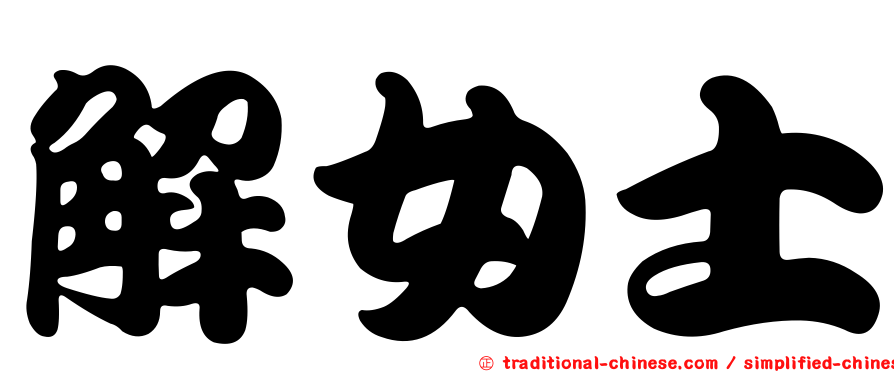 解女士