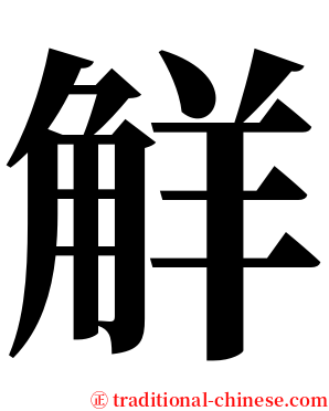 觧 serif font