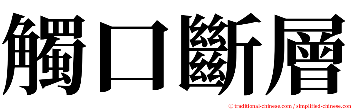 觸口斷層 serif font