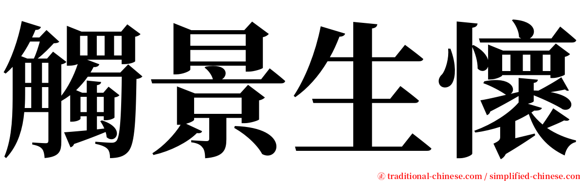觸景生懷 serif font