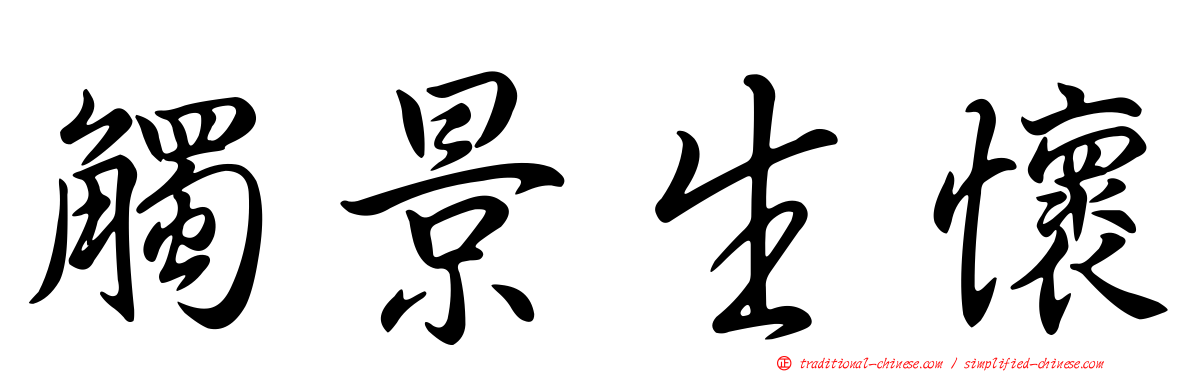 觸景生懷