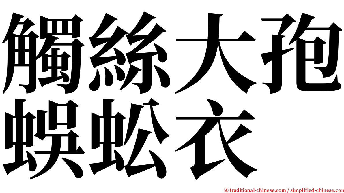 觸絲大孢蜈蚣衣 serif font