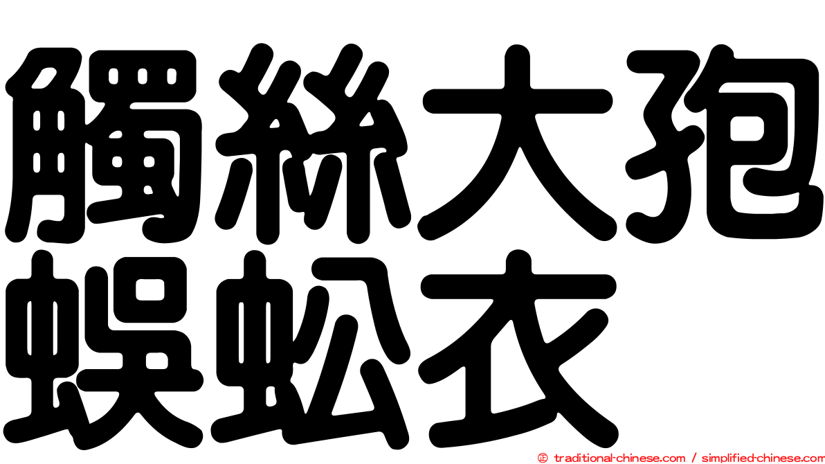 觸絲大孢蜈蚣衣