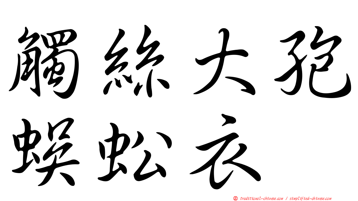 觸絲大孢蜈蚣衣