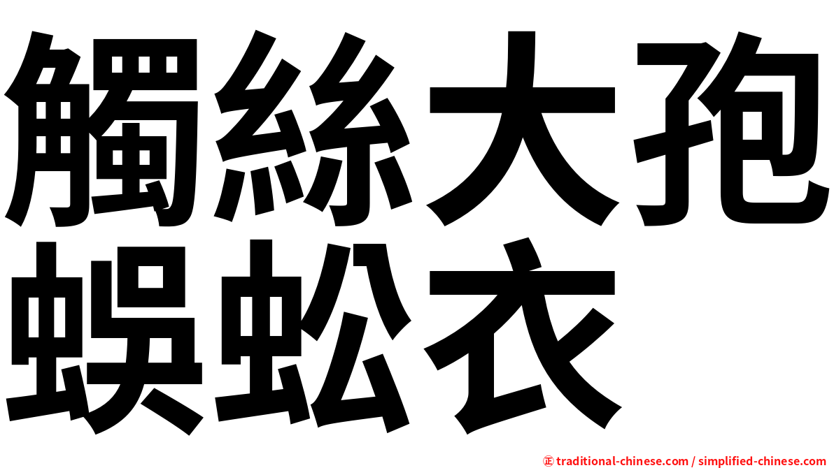 觸絲大孢蜈蚣衣