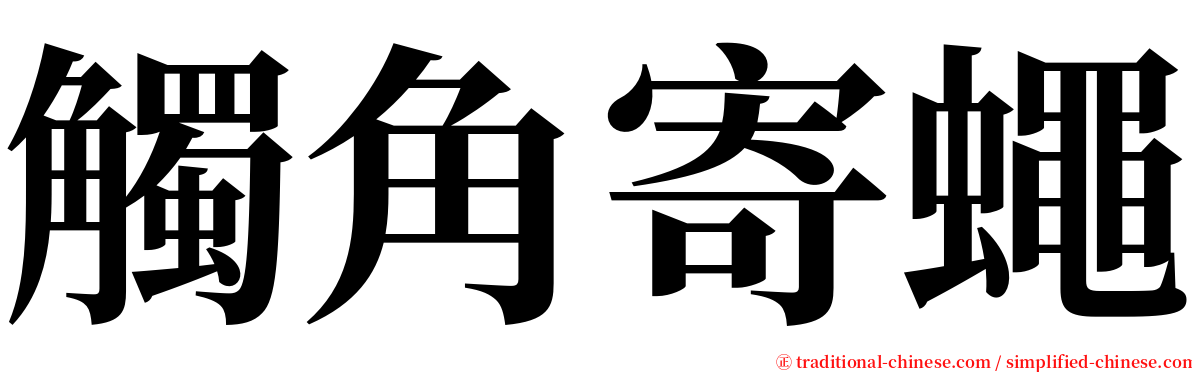 觸角寄蠅 serif font