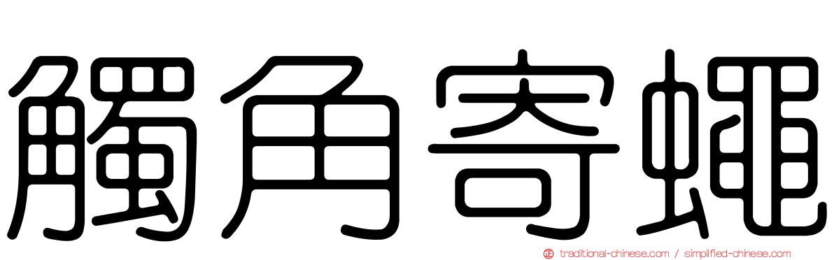 觸角寄蠅