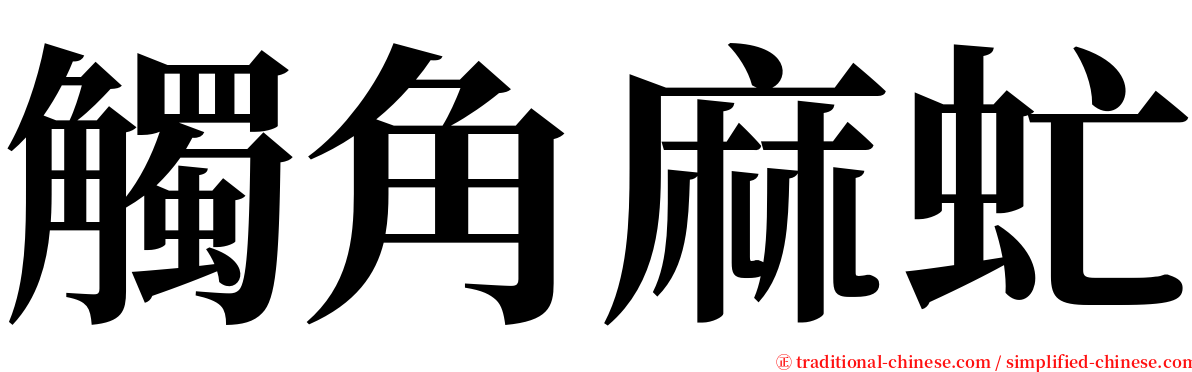 觸角麻虻 serif font
