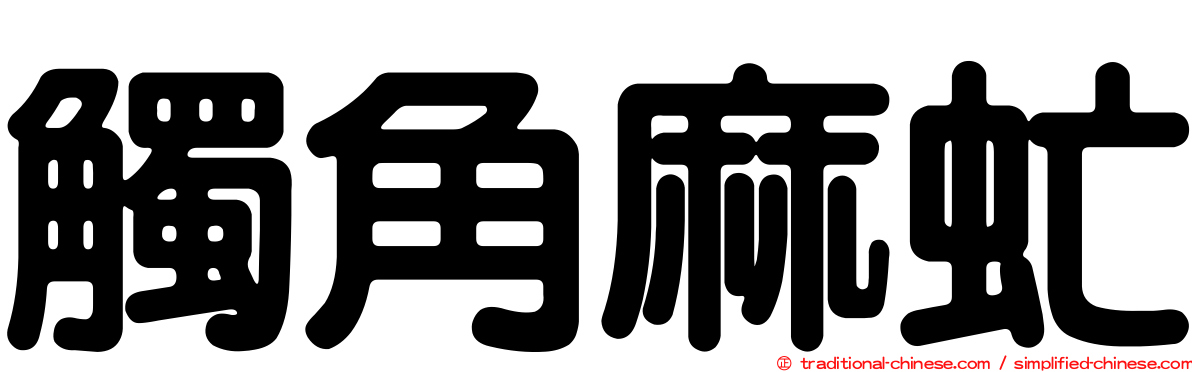 觸角麻虻