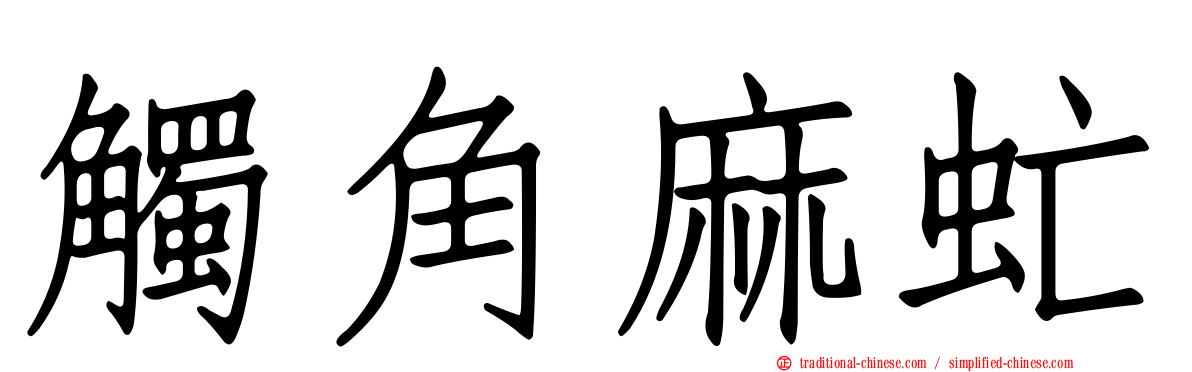 觸角麻虻