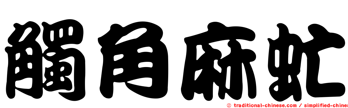 觸角麻虻