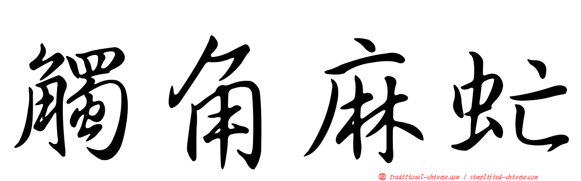 觸角麻虻