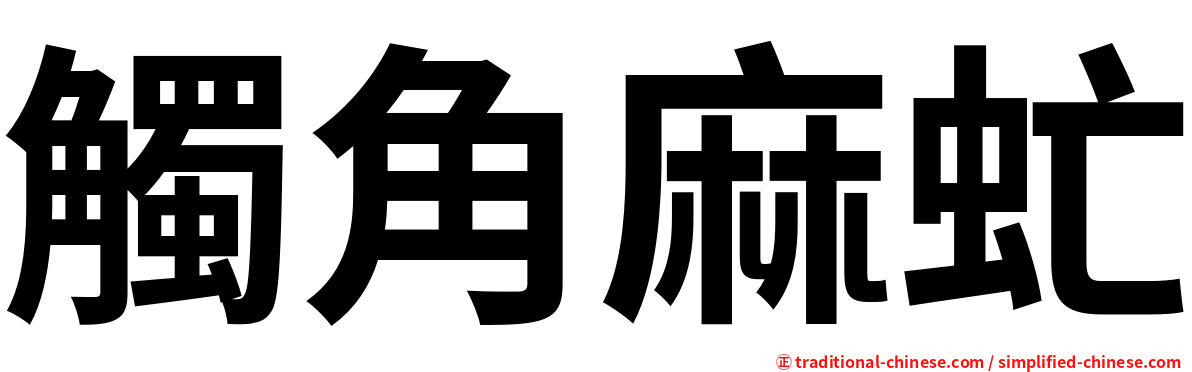 觸角麻虻