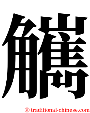觽 serif font