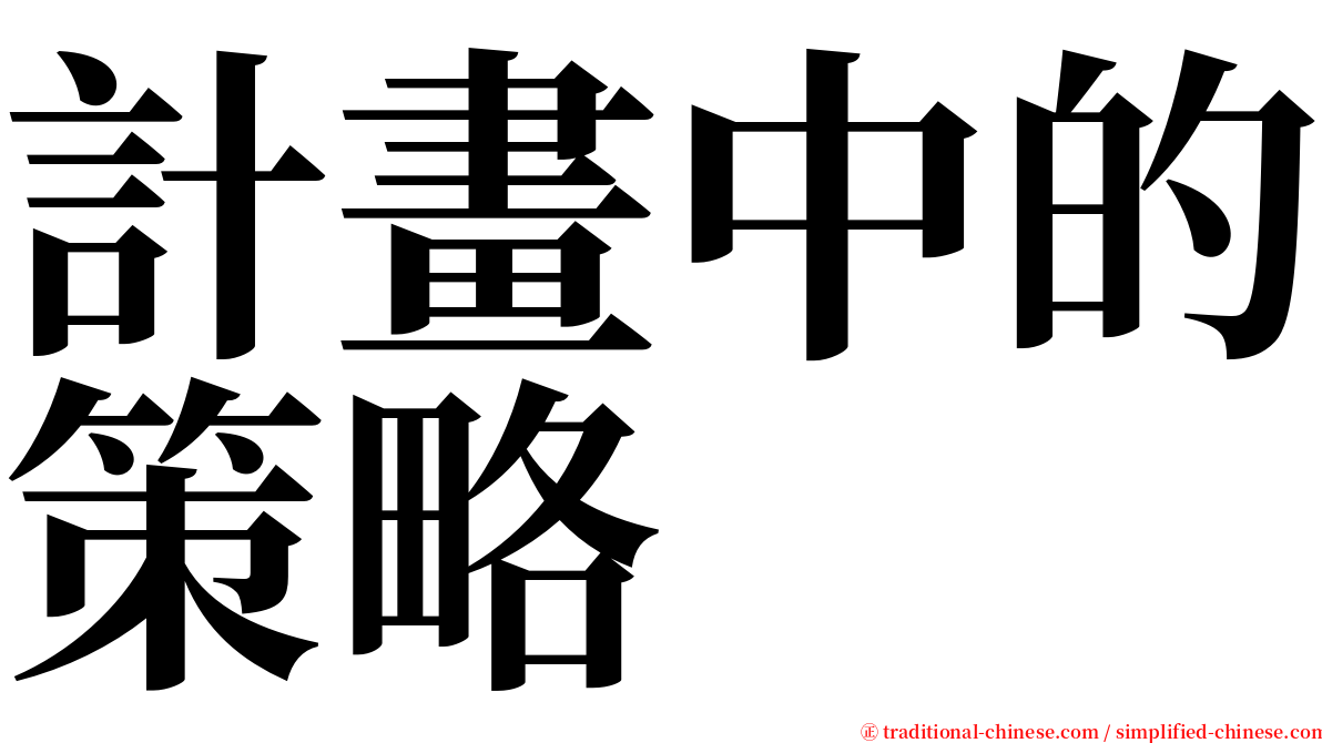 計畫中的策略 serif font