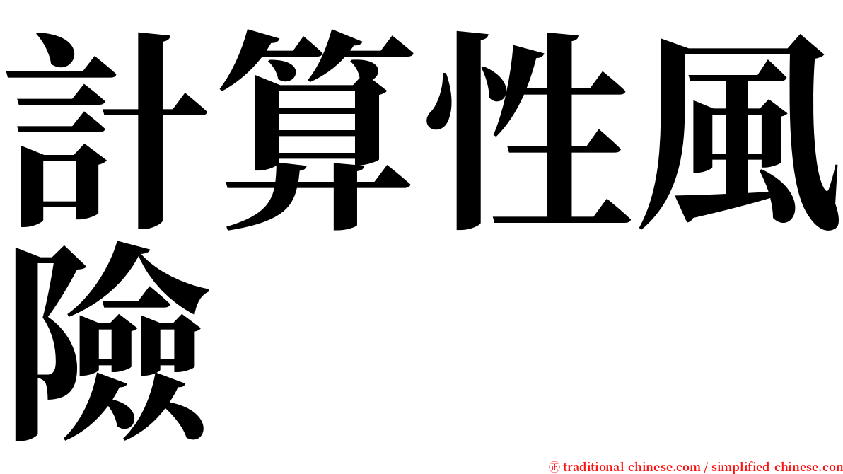 計算性風險 serif font