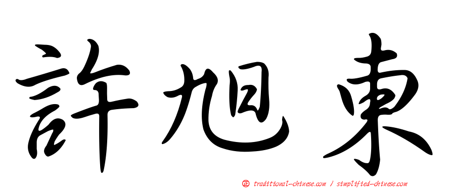 許旭東