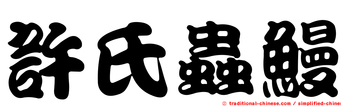 許氏蟲鰻