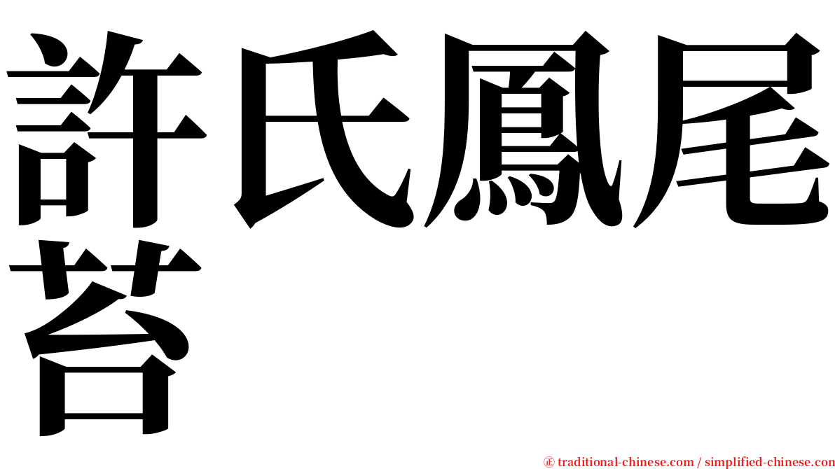 許氏鳳尾苔 serif font