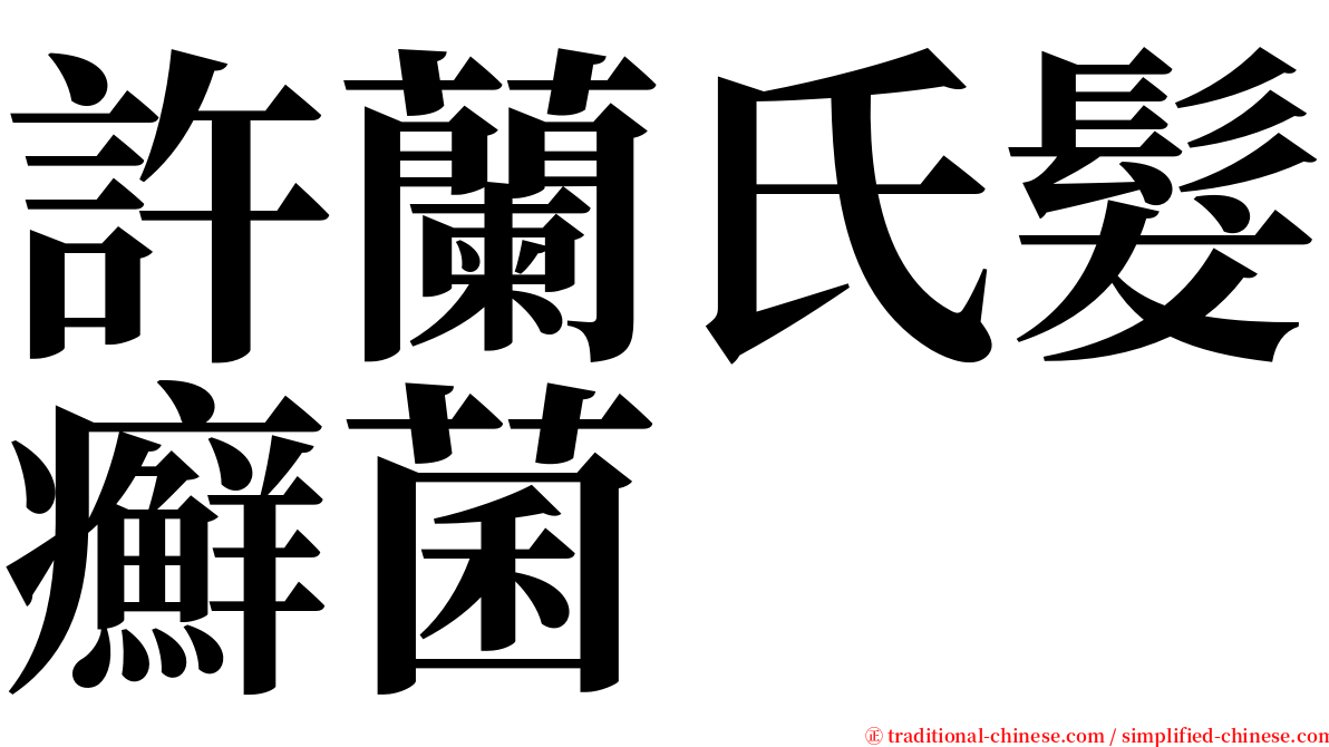 許蘭氏髮癬菌 serif font
