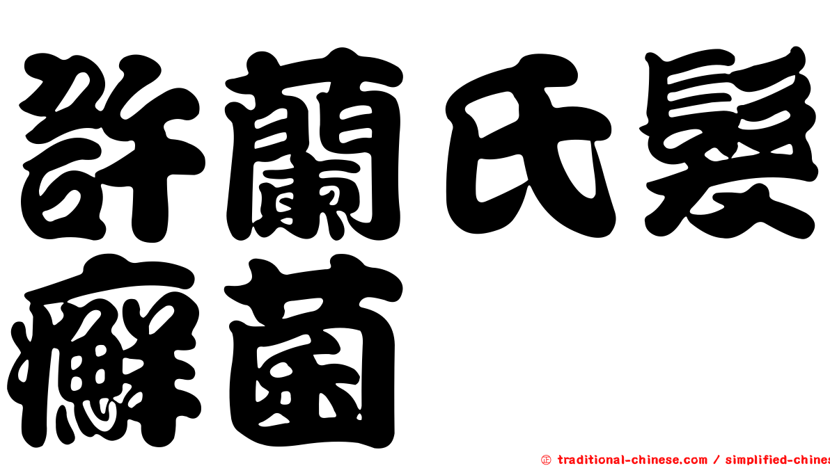 許蘭氏髮癬菌