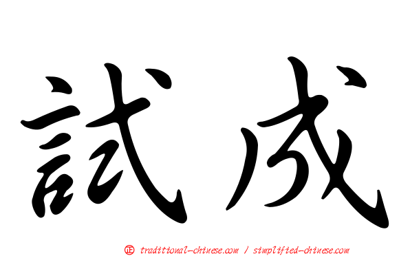 試成