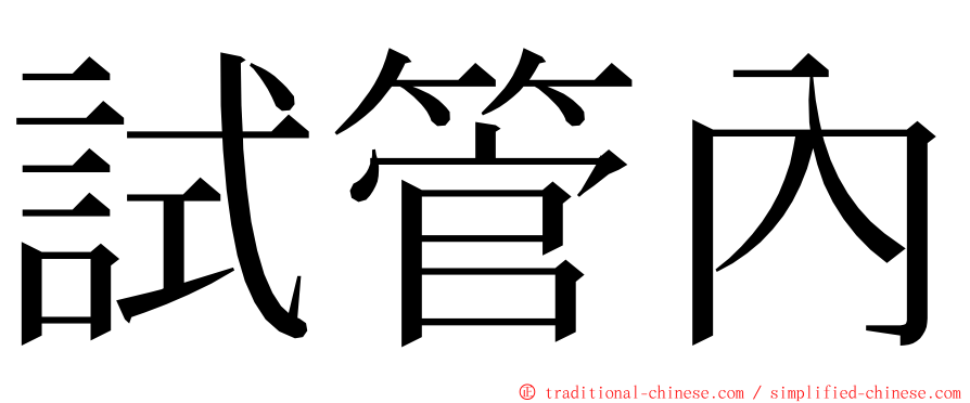 試管內 ming font