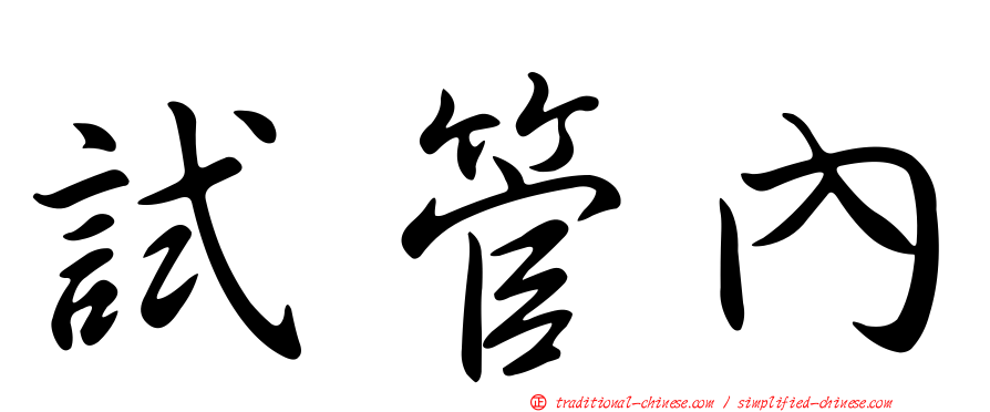 試管內