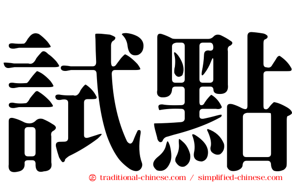試點