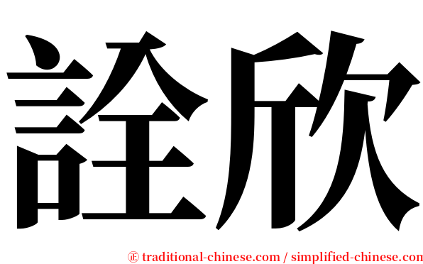 詮欣 serif font