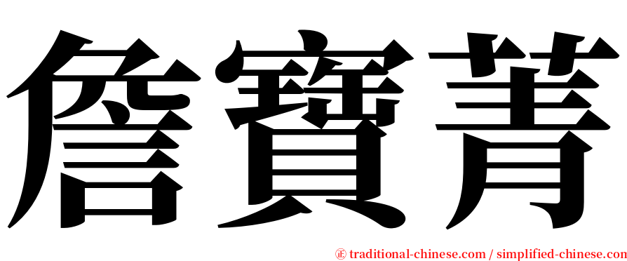詹寶菁 serif font
