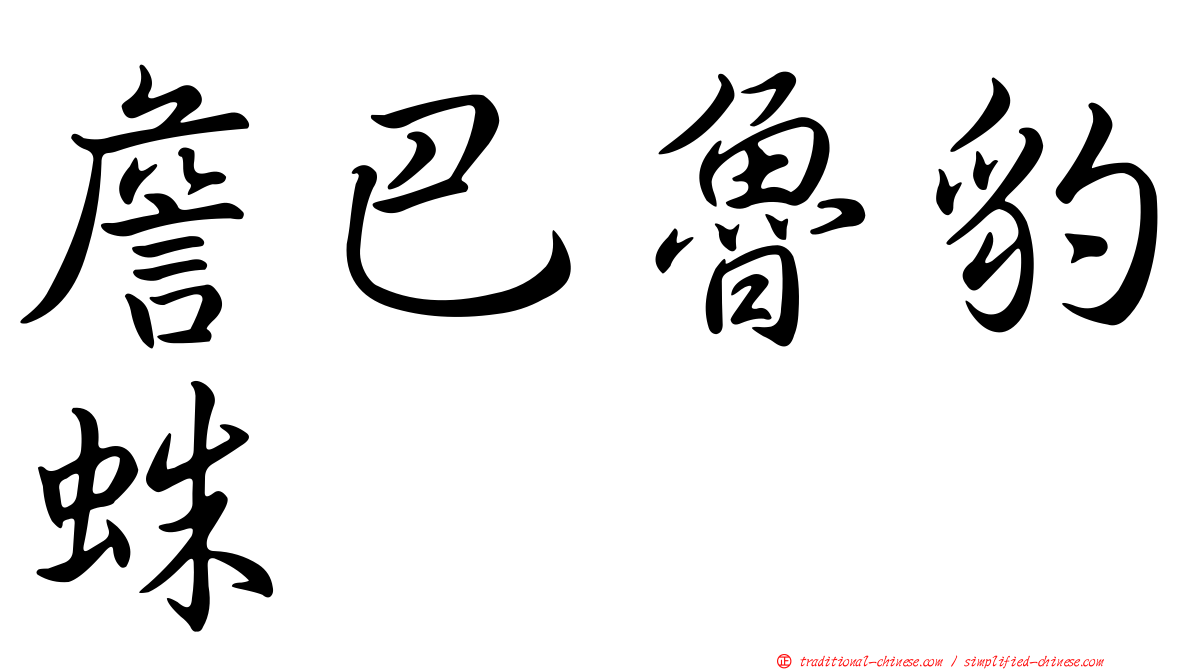 詹巴魯豹蛛