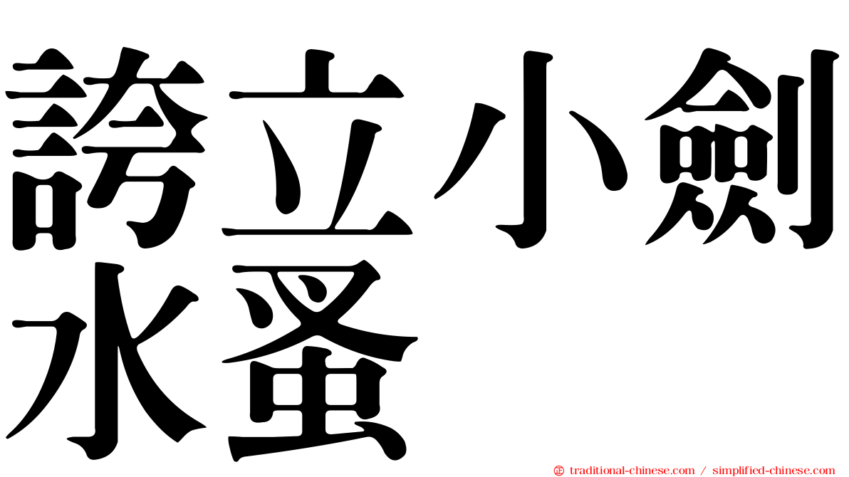 誇立小劍水蚤