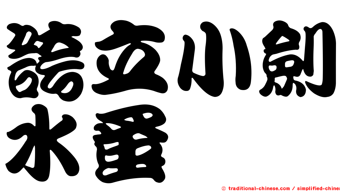 誇立小劍水蚤