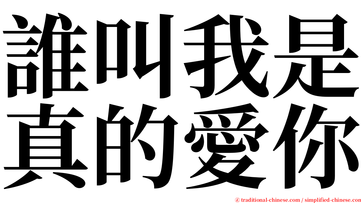 誰叫我是真的愛你 serif font