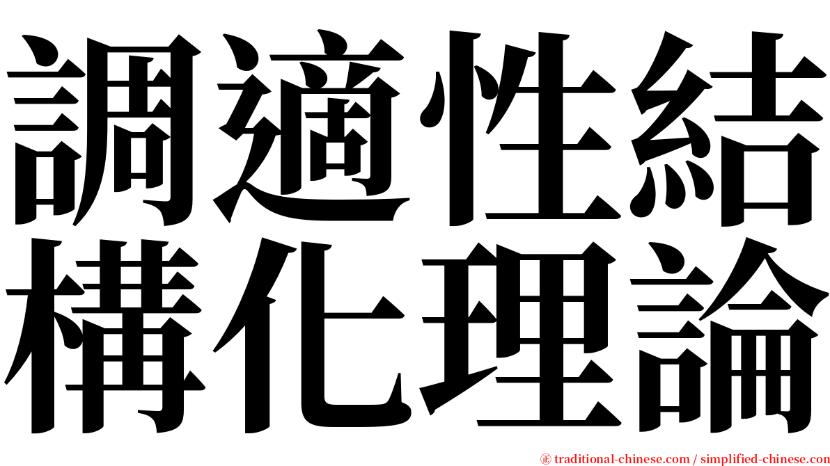 調適性結構化理論 serif font