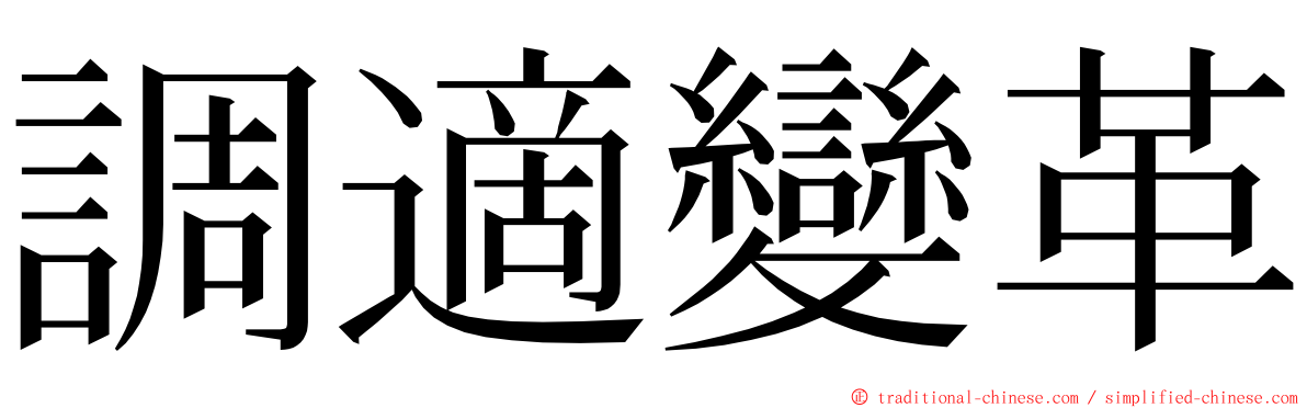 調適變革 ming font