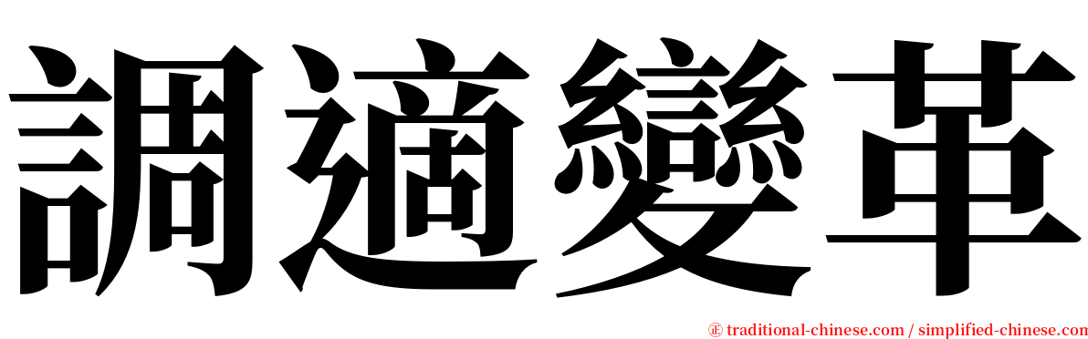 調適變革 serif font