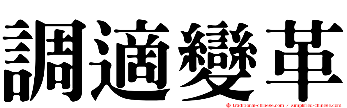 調適變革