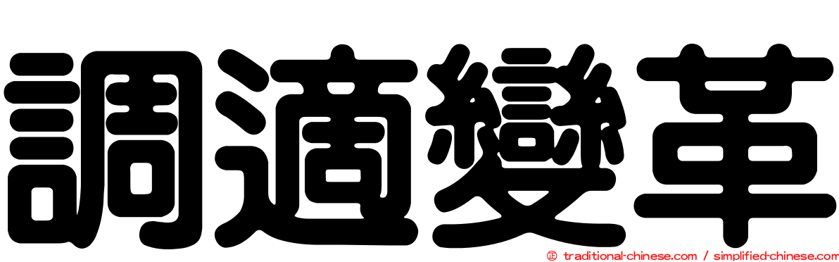 調適變革