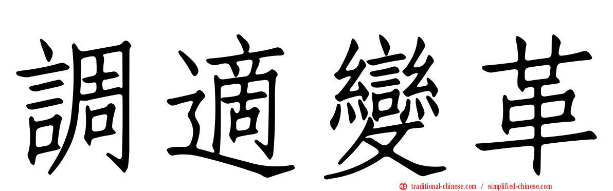 調適變革
